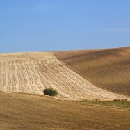 Sull'autostrada Roma-Bari