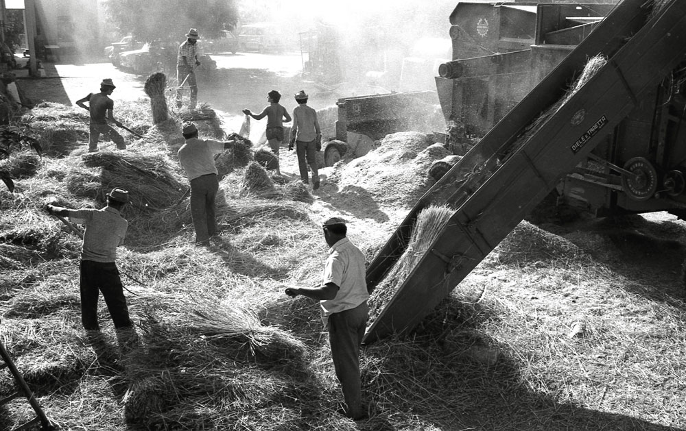 "Trebbia", fotografia pubblicata nel Catalogo del Sicof