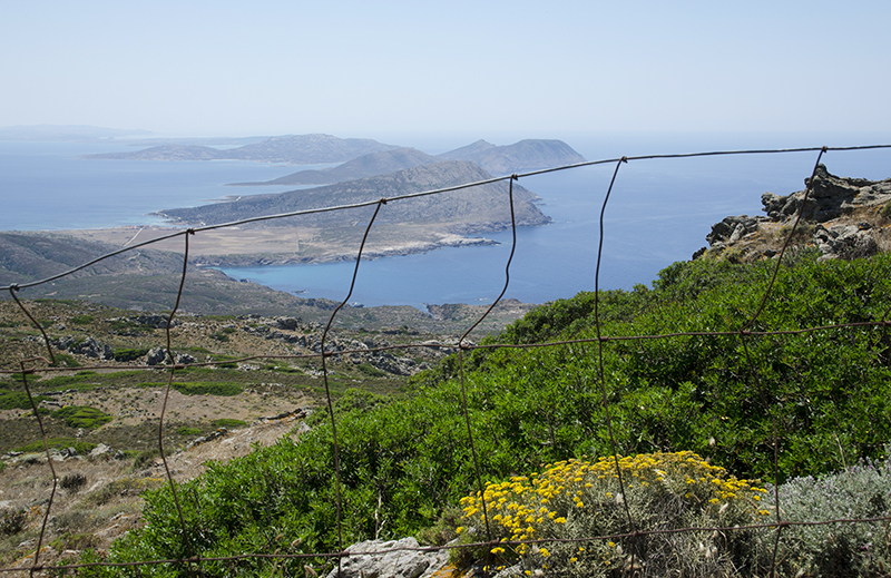 11. Asinara panorama