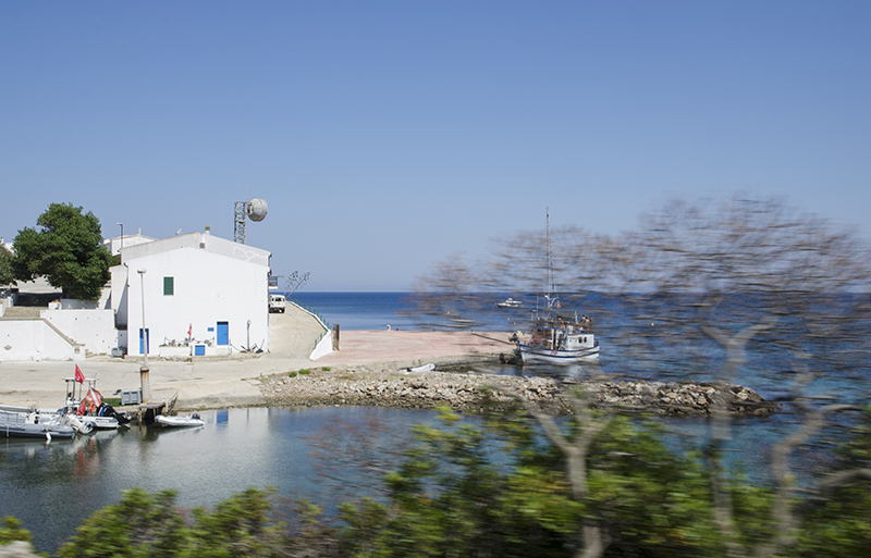 14. Asinara, Cala d'Oliva