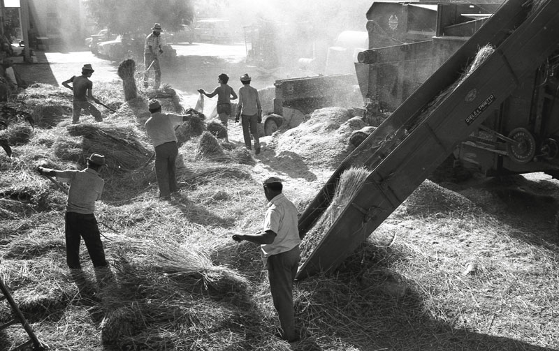 Puglia, Trebbia '79