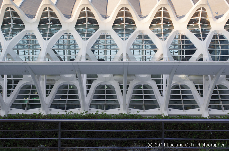 Museo delle Scienze di Santiago Calatrava