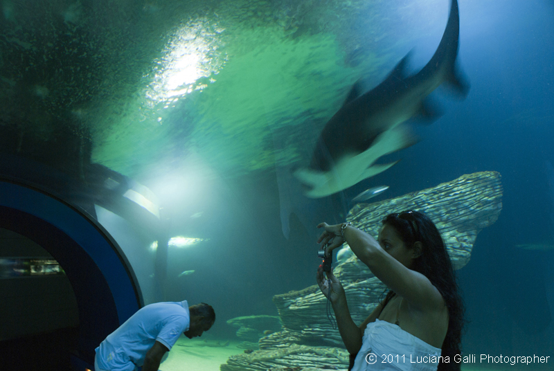 Parco Oceanografico universale di F.Candela
