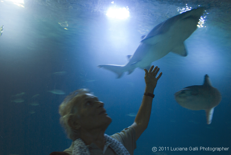 Valencia, Parco Oceanografico universale di F. Candela