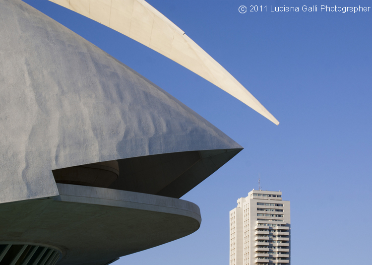 Valencia, Palazzo delle Arti Reina Sofia, detto Opera House