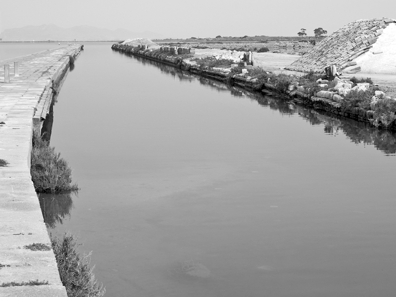 Riserva dello Stagnone, 2007