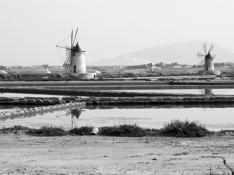 Riserva dello Stagnone, saline, 2007