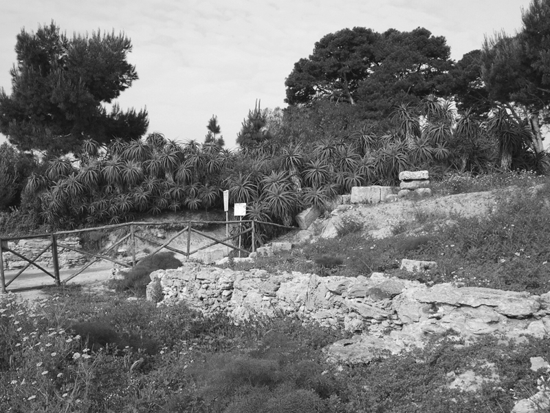 Mozia, 2007