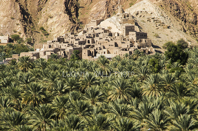 Birkat Al Mawz nel territorio di Nizwa