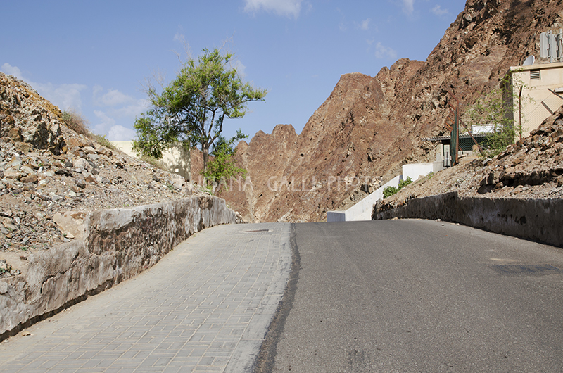 Oman, territorio di Nizwa
